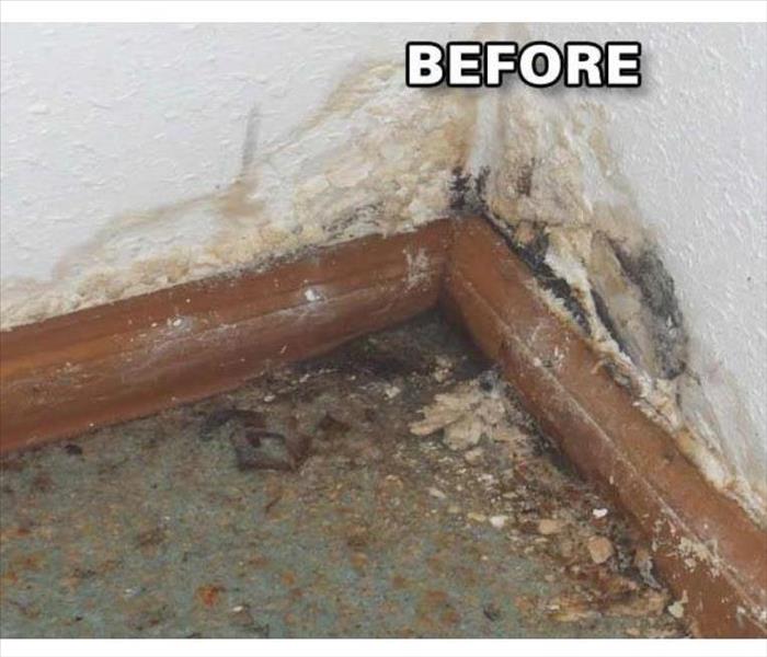 Mold & mildew build up in the corner of a home 